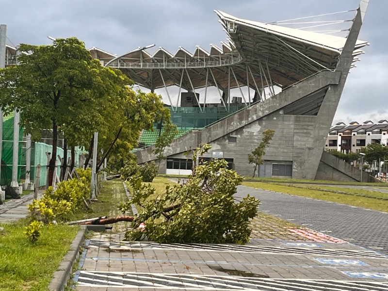 為確保U12世界盃棒球場地辦理無虞,體育局長加強巡視,僅場內紅土部份流失與外圍小樹傾倒,已指示全力維護,確保比賽順利進行