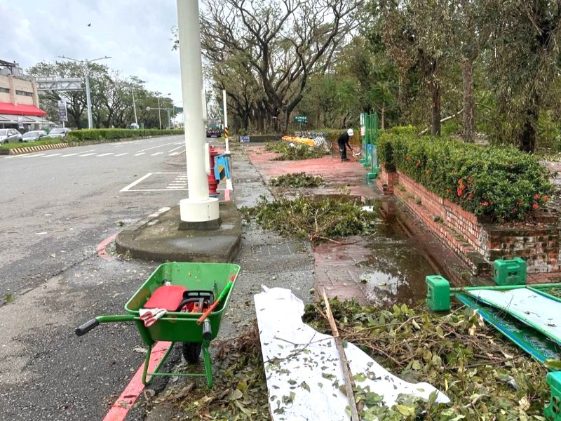 體育局廠商就影響道路通行安全樹木進行清除