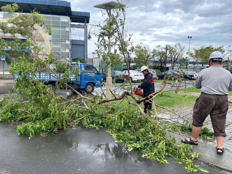 體育局廠商積極處理新營網球場倒塌樹木以期早日提供民眾打球